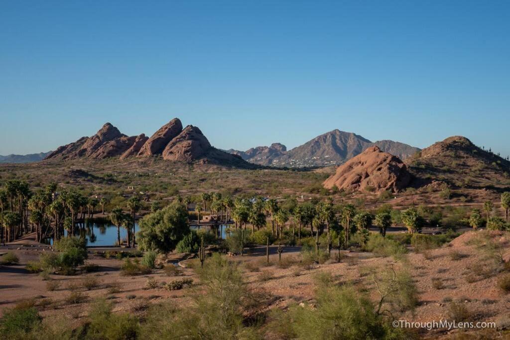 Modern Tempe Home With Heated Pool, Asu Bagian luar foto
